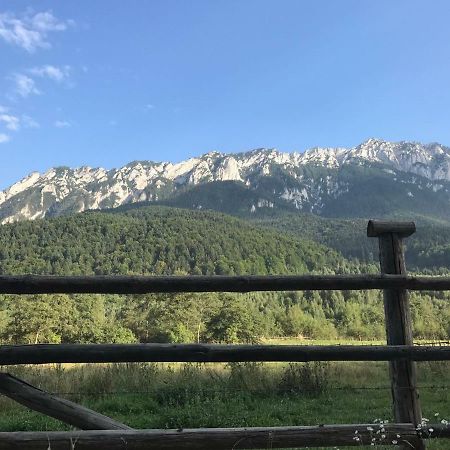 Pensiunea Kyfana Zărneşti Exteriér fotografie