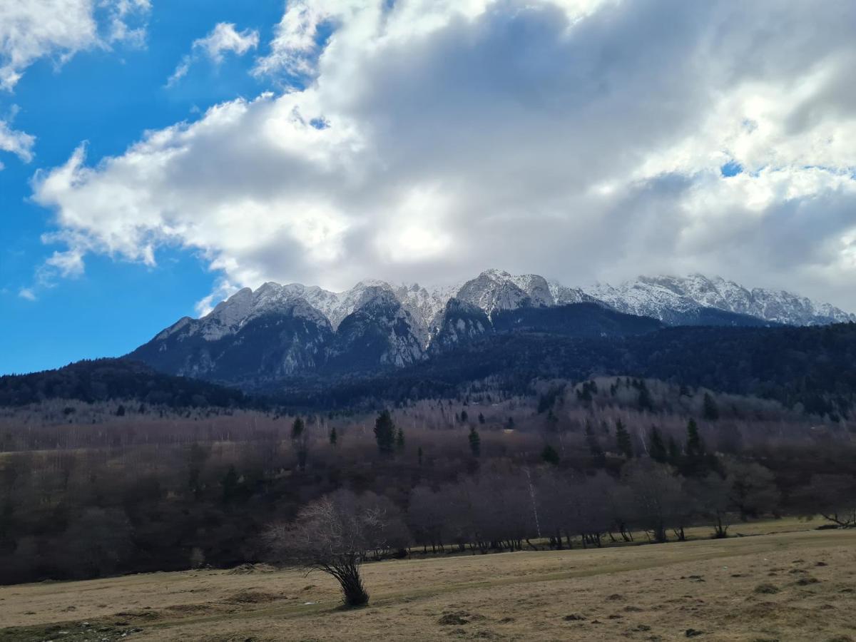 Pensiunea Kyfana Zărneşti Exteriér fotografie