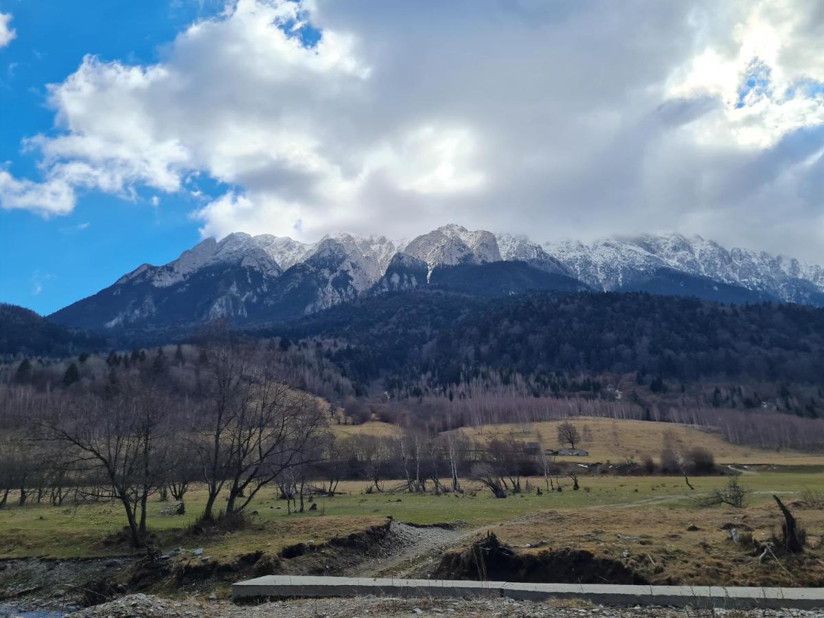 Pensiunea Kyfana Zărneşti Exteriér fotografie