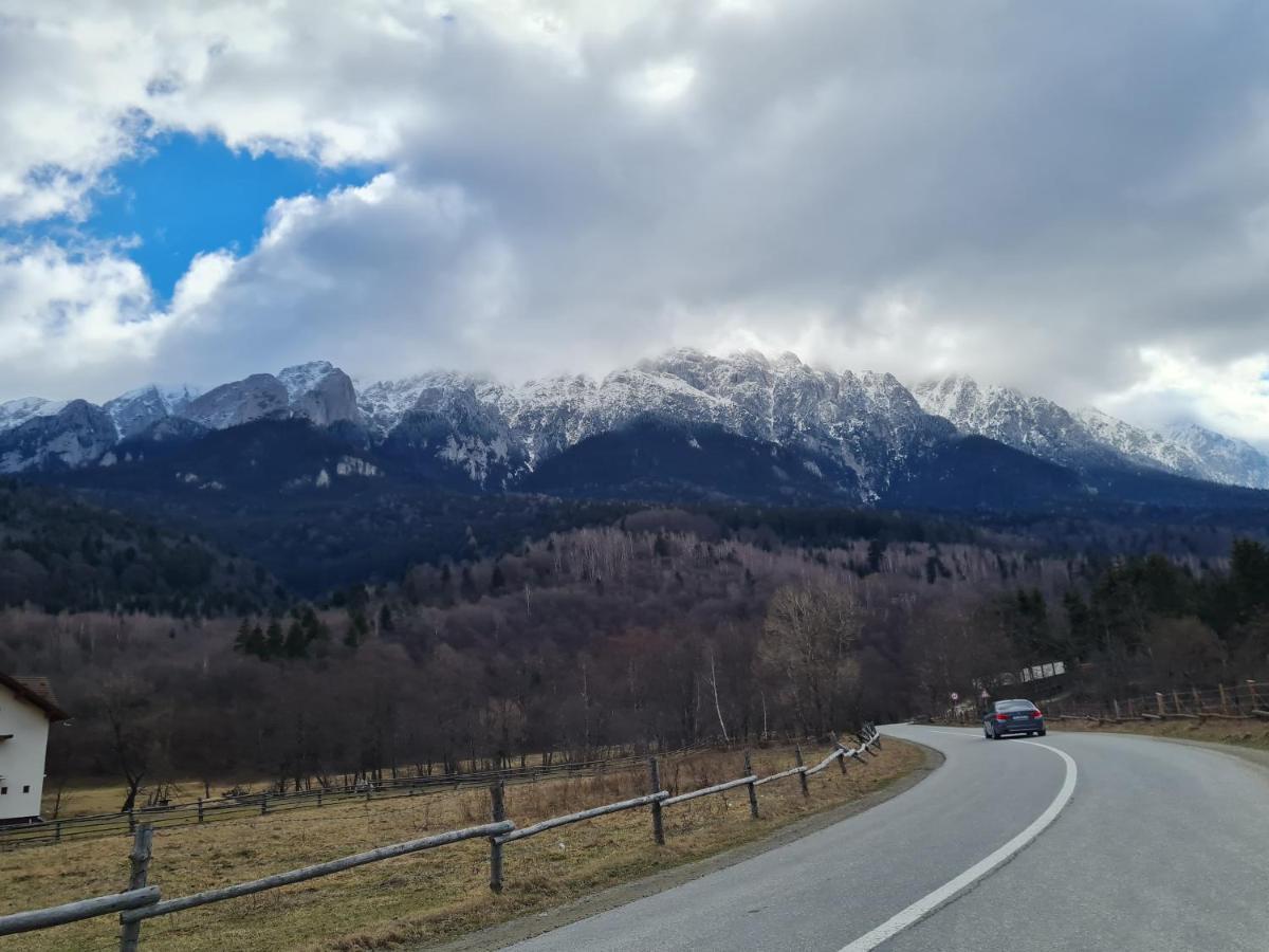 Pensiunea Kyfana Zărneşti Exteriér fotografie