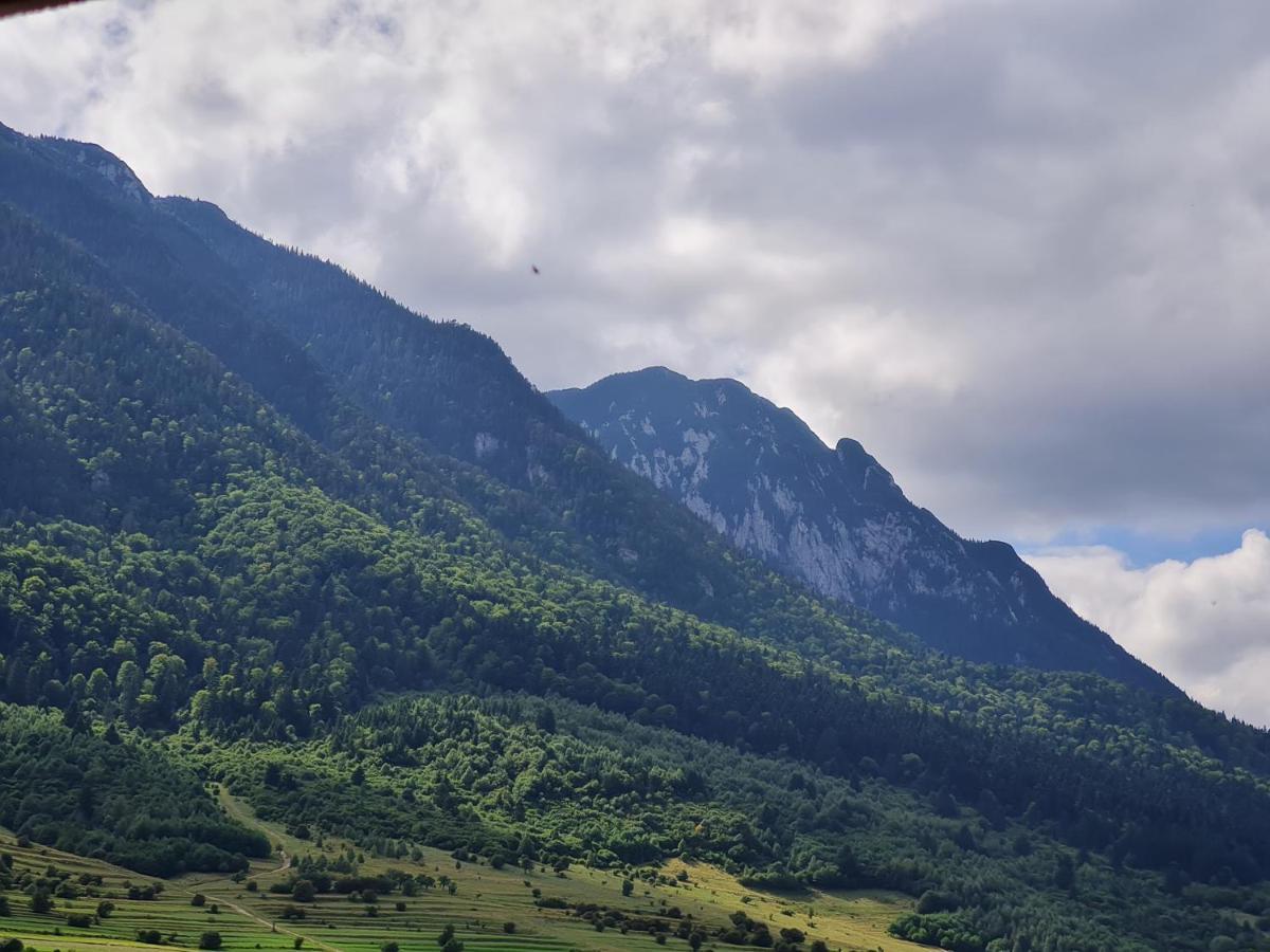 Pensiunea Kyfana Zărneşti Exteriér fotografie