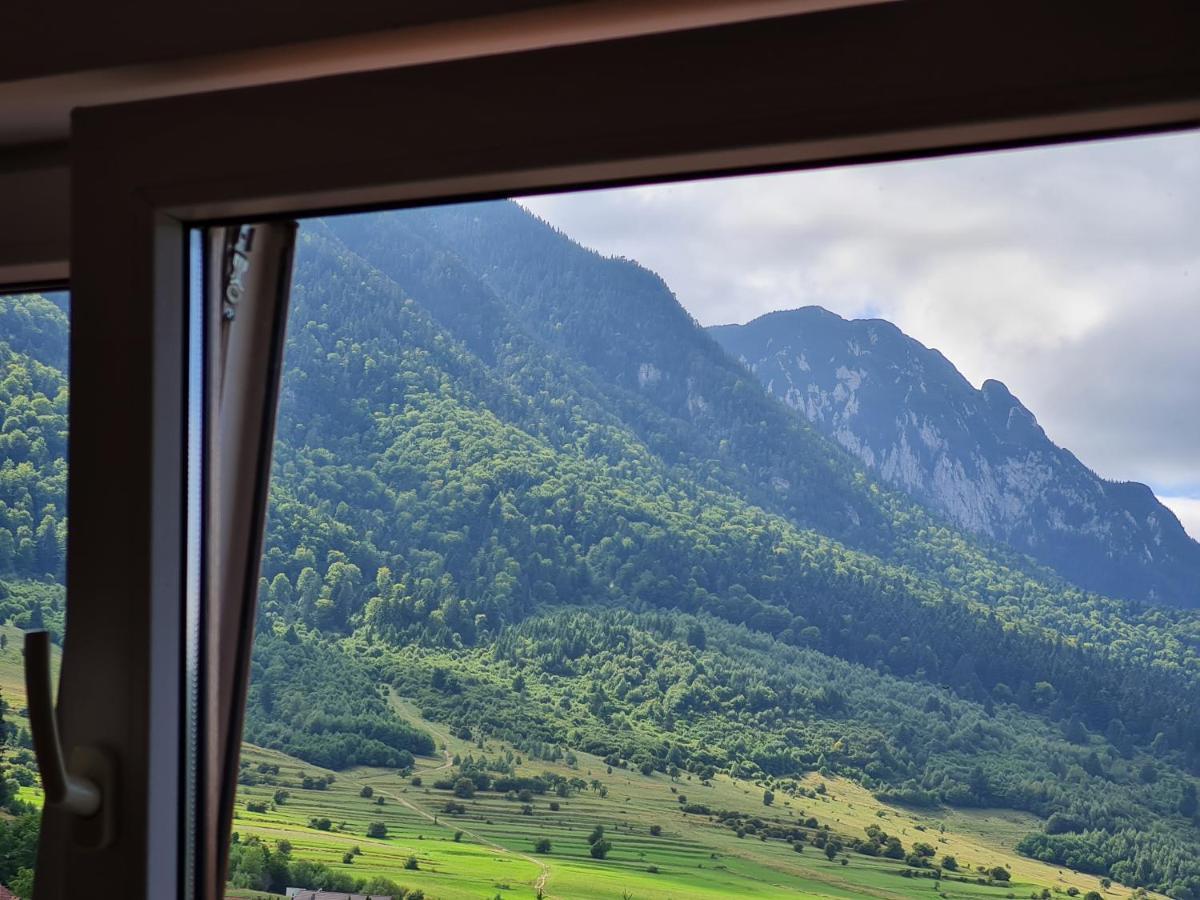 Pensiunea Kyfana Zărneşti Exteriér fotografie