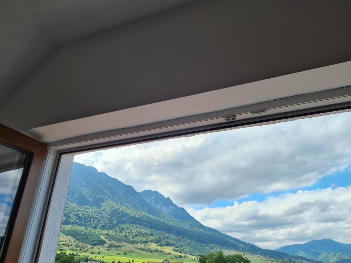 Pensiunea Kyfana Zărneşti Exteriér fotografie