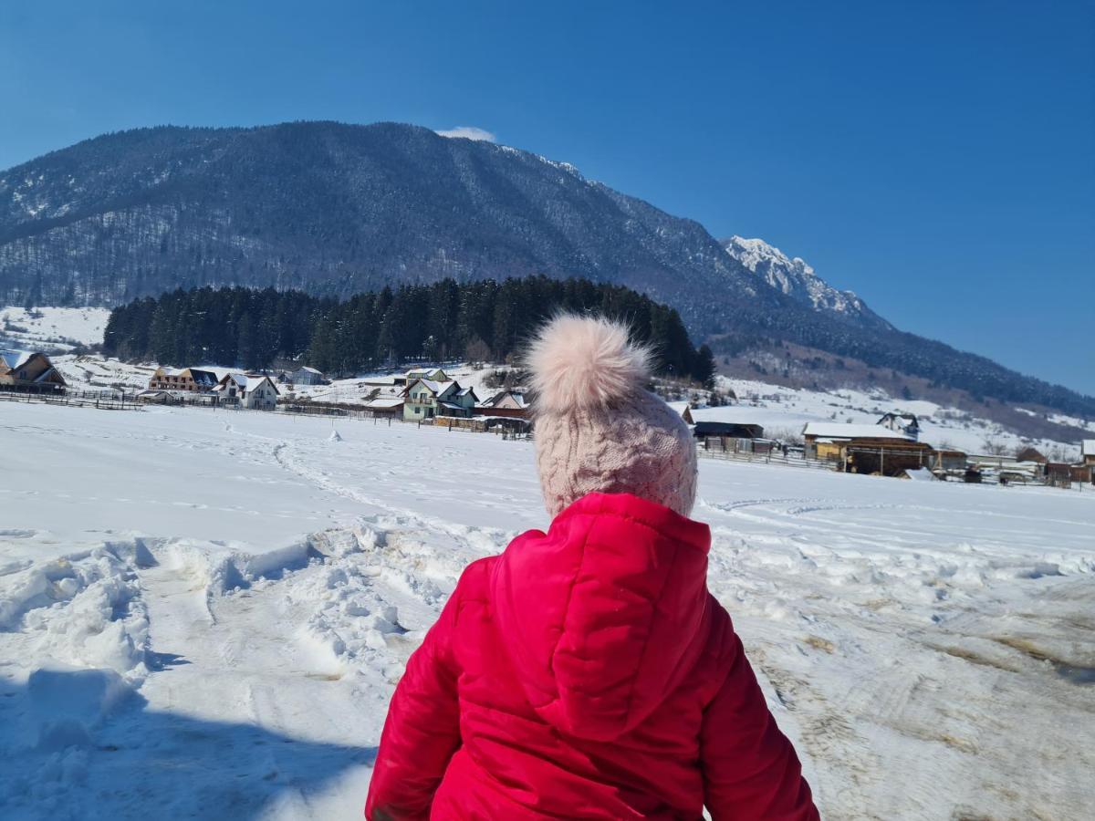 Pensiunea Kyfana Zărneşti Exteriér fotografie