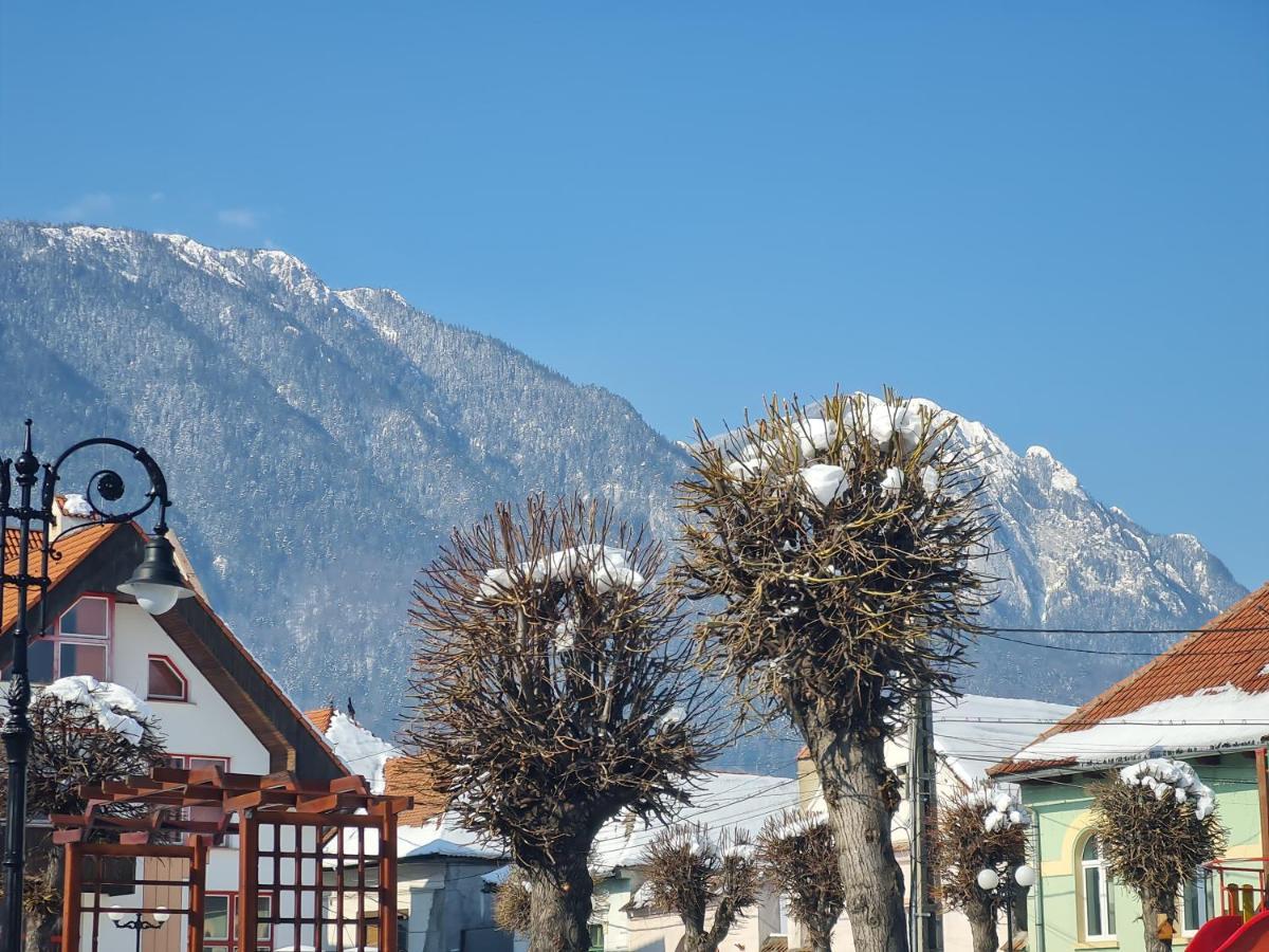 Pensiunea Kyfana Zărneşti Exteriér fotografie