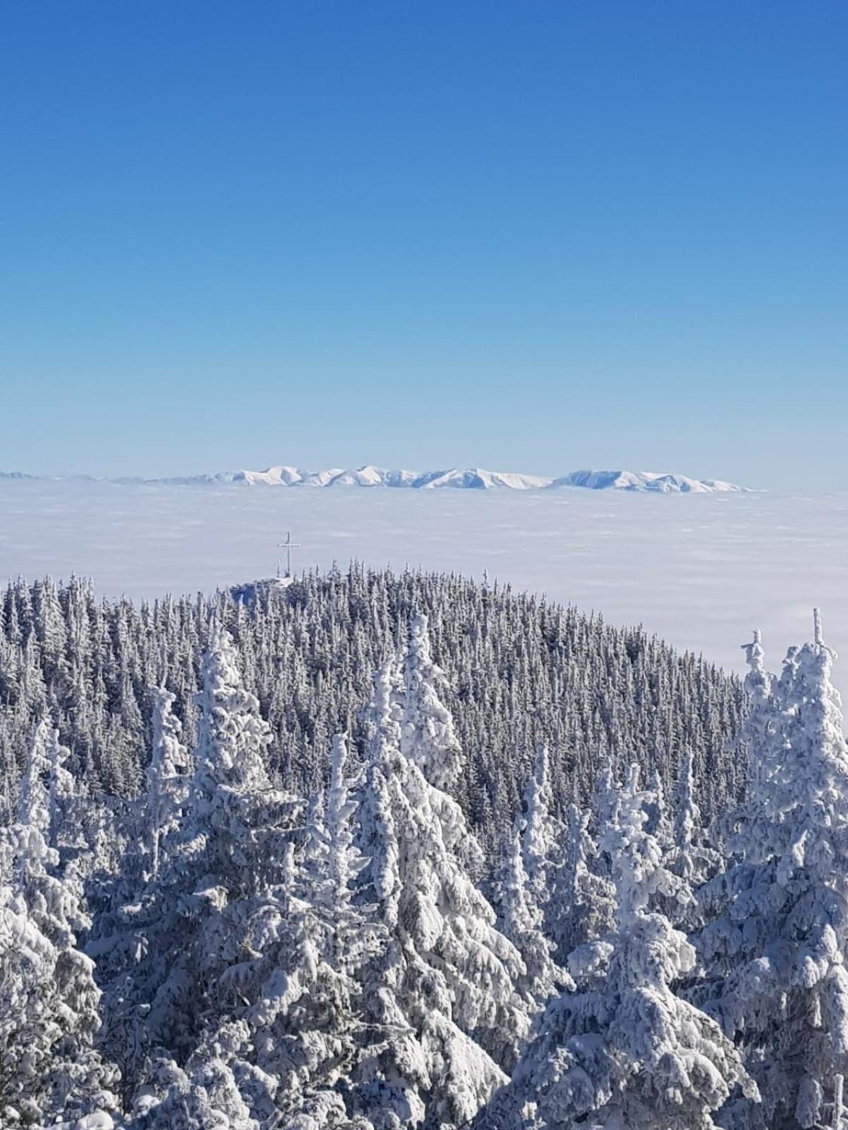 Pensiunea Kyfana Zărneşti Exteriér fotografie