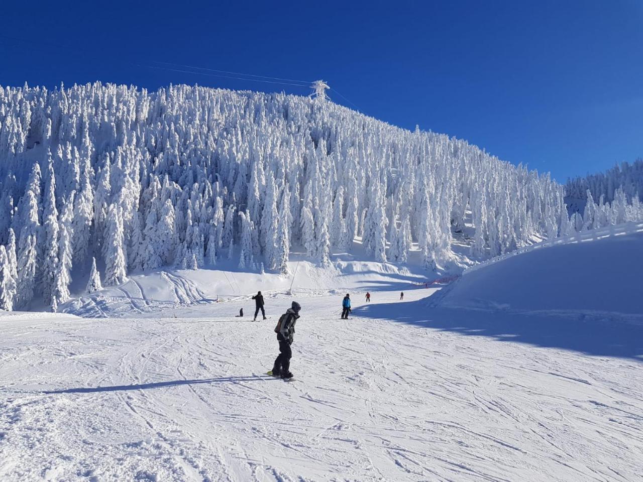 Pensiunea Kyfana Zărneşti Exteriér fotografie