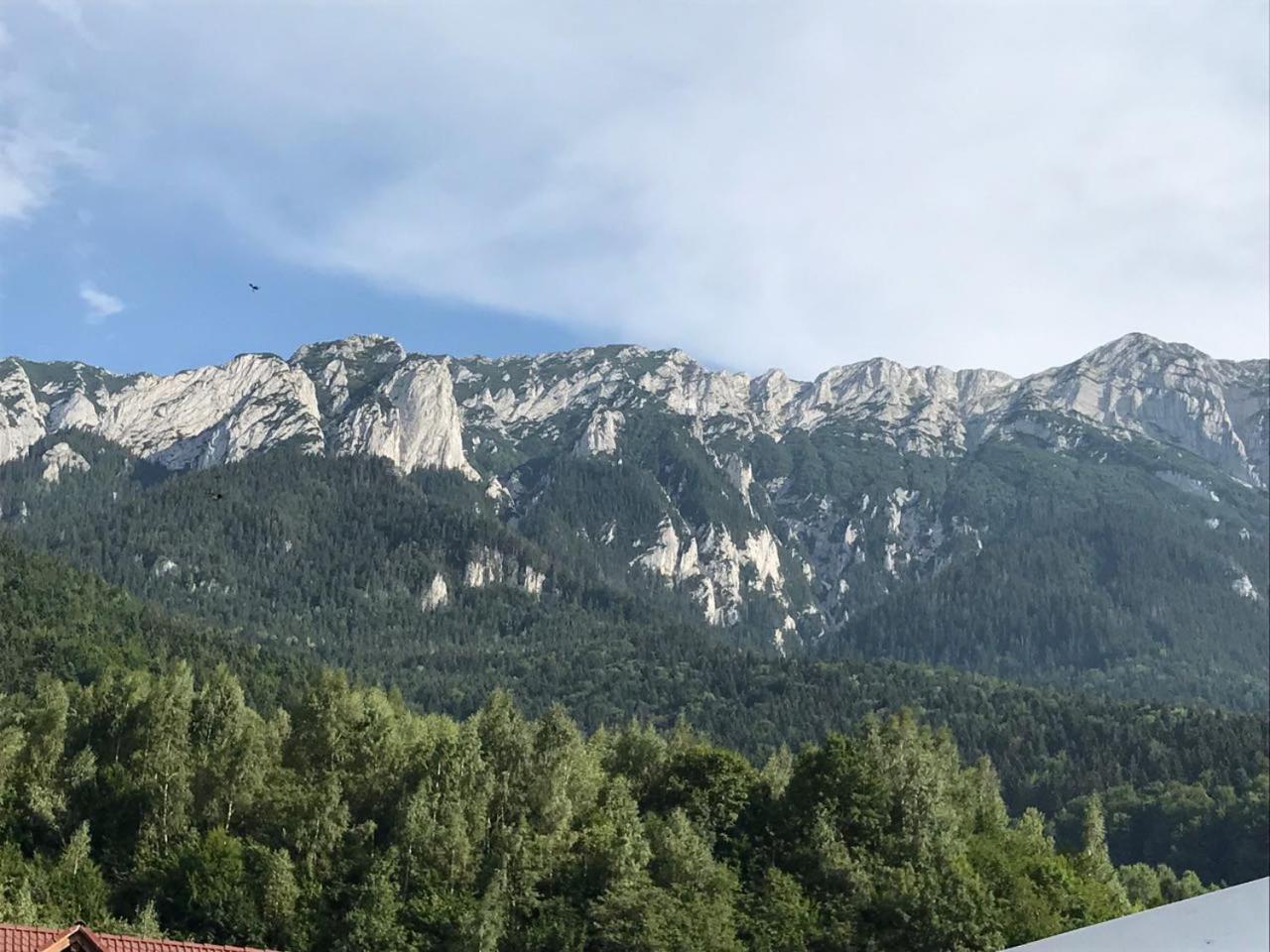 Pensiunea Kyfana Zărneşti Exteriér fotografie